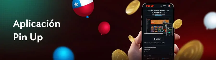 Aplicación Pin Up